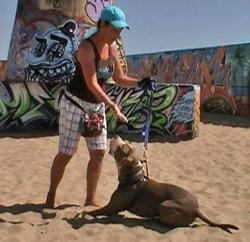 Angie Ade, ABC certified dog trainer, is working with a dog on Venice Beach in Venice, CA